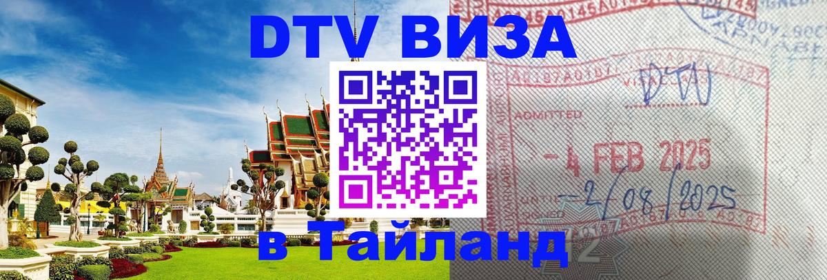 Оформление DTV визы под ключ: стоимость и тарифы, только загранпаспорт - 18.11.2025 